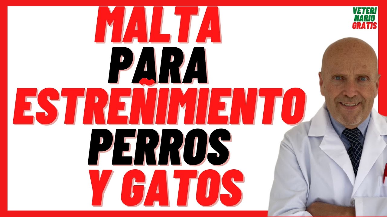 🔵 Pasta de MALTA para Perros y Gatos  🔵 Beneficios Dosis, ¿Como Usarla  🔵Precio