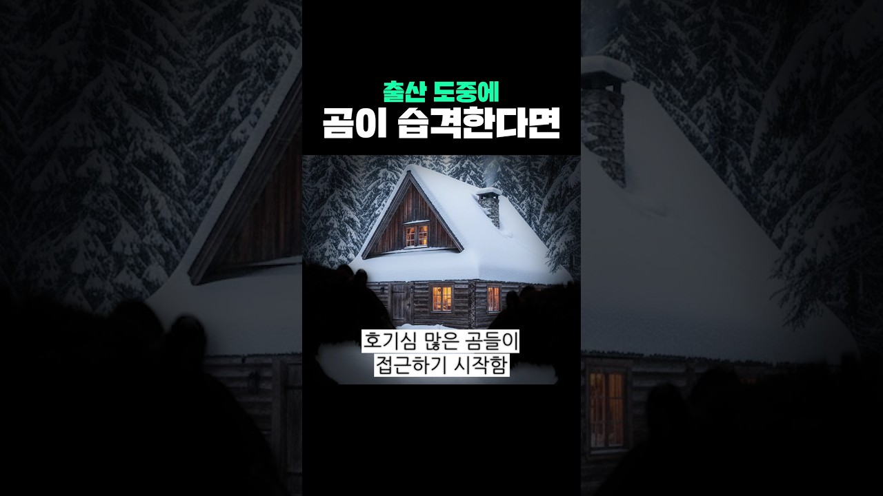 출산 도중에 곰이 습격한다면