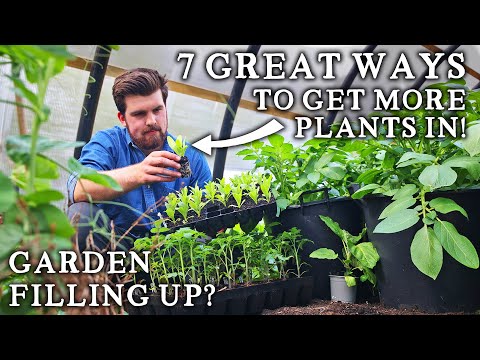 Garden Filling Up? Here’s How You Can Fit in More Crops