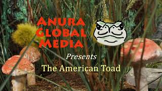 Anura GM