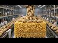 INSANE Automated Noodle Production Inside America S High Tech Food Factory