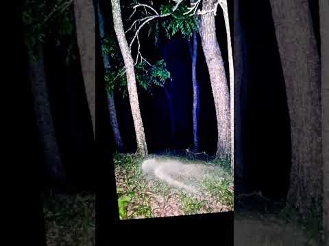 El Congo,Santa Ana #elsalvador #naturaleza #paisajesextremos #paranormal