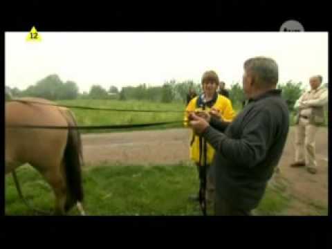 Gospodarstwo pani Łopaty cz.1.wmv