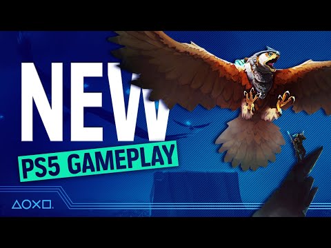 The Falconeer Exclusive PS5 Gameplay - 5 Things You Need To Know