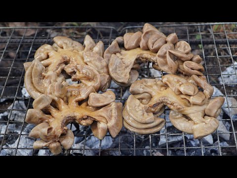 Unforgettable Dish Of Pork Intestines!