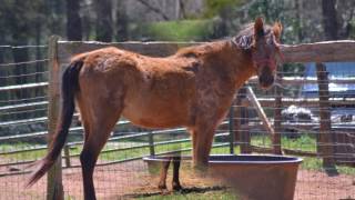 Hope (The Broken Ones by Dia Frampton)