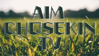 [Vtub] 勤奮的Astel