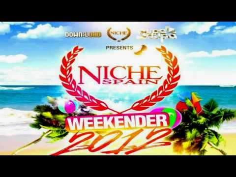 Niche Allnighter - New Years Eve 2011 - CD 2 - DJ Q - Track 10