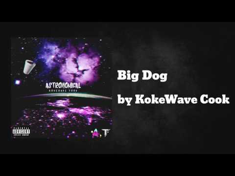 Big Dog - KokeWave Cook