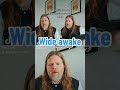 Wide awake - Friendship (acoustic cover)