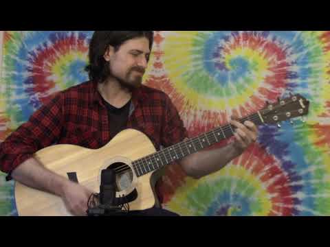 Taylor 114ce and 214ce Side by Side Comparison