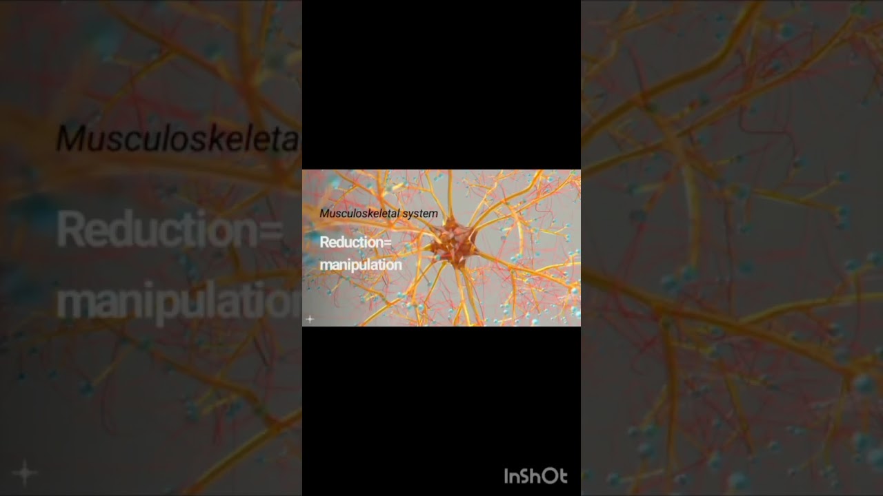 musculoskeletal system coding exam key point