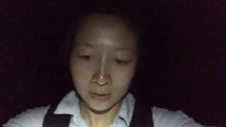 siugi.com : 30 jungle de nuit / jungle by night