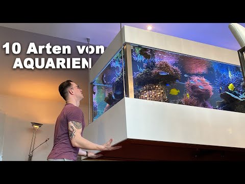 10 types of saltwater aquariums