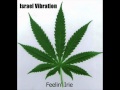 Israel Vibration - Feelin' Irie