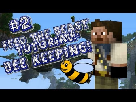 FTB Tutorial: Bee Keeping #2: Crossbreeding and More!