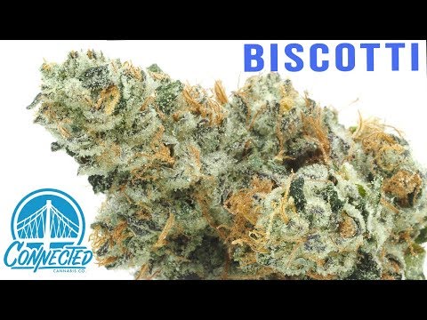 The BISCOTTI Strain Review