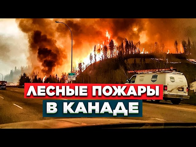 Новости. Выпуск от 18.07.2023 г.