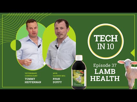 Tech in 10 - Episode 37: Lamb Health Essentials: Infection Pressure & Our Advanced Gut Stabiliser