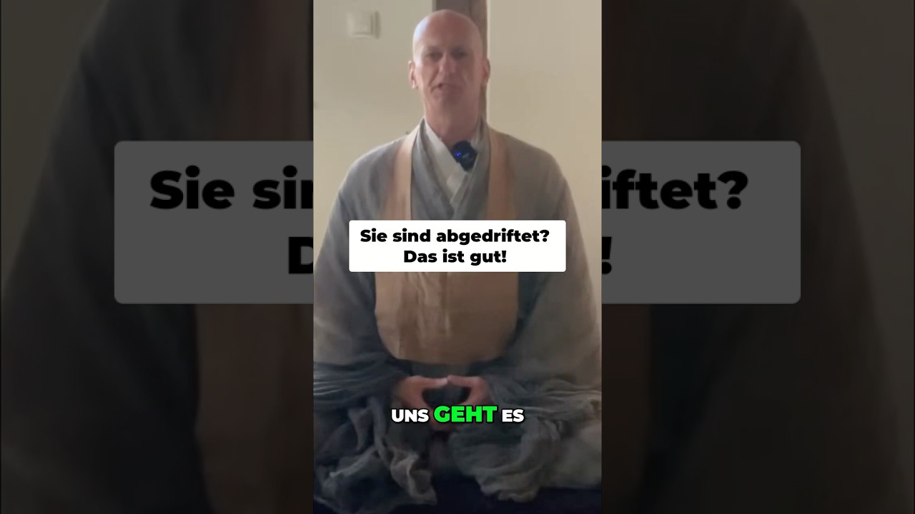 🎡 Gedanken-Karussell? Meditations-Wunder gegen Abschweifen! 🎡 #zen #meditation #bewusstseinsweg