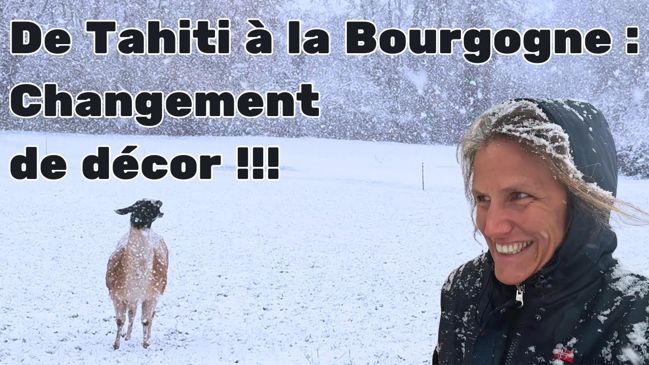 From Tahiti to Burgundy, a change of scenery! #68