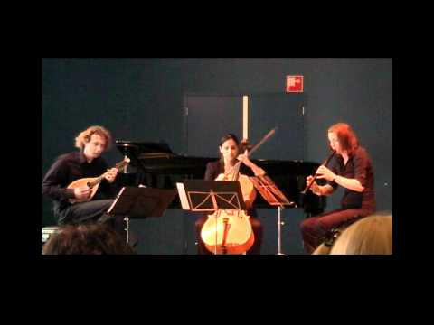 Lilith's Mirror by John Craton for Mandolin, Alto recorder and Violoncello.