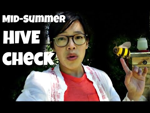 Checking My Hives to See How They Are Handling Dearth  -- Bee Vlog#17, 2018