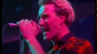 The Armoury Show - Avalanche, La Edad de Oro, Madrid 1984