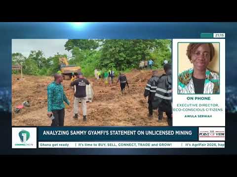 Awula Serwah Challenges Sammy Gyamfi’s Remarks on Mining