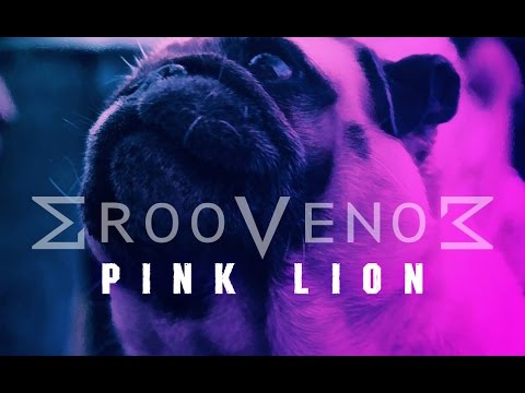 GrooVenoM - Pink Lion (OFFICIAL VIDEO)