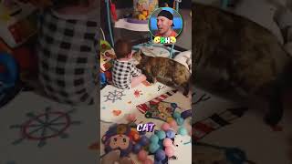 Download lagu Cat wants to play with kid mp3
