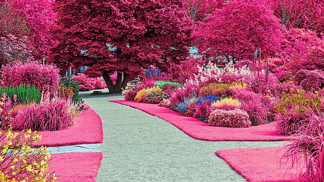 RECOVERY OF THE NERVOUS SYSTEM🌸Gentle Relaxing Music Calms The Nervous System And Pleases The Soul