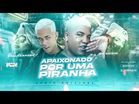 MC REIZIN E É O ALEXANDRE - APAIXONADO POR UMA PIRANHA - MÚSICA NOVA