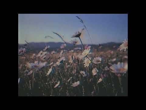 Video thumbnail for Wild Enough
