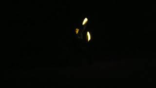 Fate/Zero 　op　オタ芸　act2