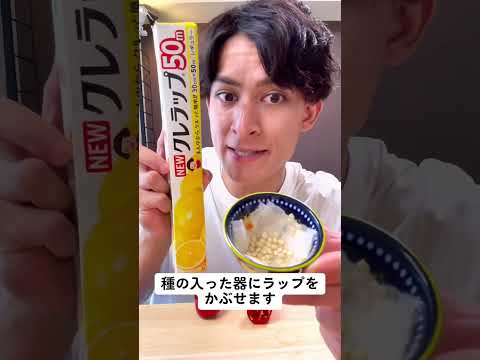 栄養のある庭園