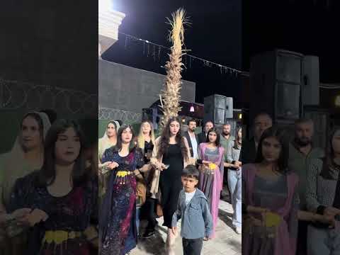 HOZAN AZAD SiLOPİ EMİR YILMAZ DÜĞÜNÜ 2025