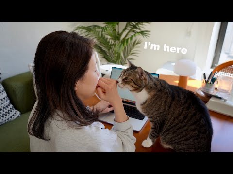YouTube 썸네일