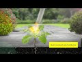 Thermoflamm Bio Comfort Plus désherbeur à gaz | video 1