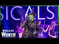 Wicked Defying Gravity Big Night Of Musicals 2023
