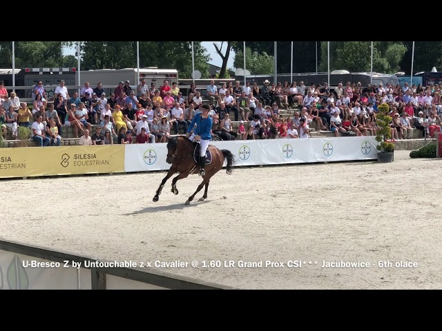 Grandmother Tu-Bresco is a Grand Prix CSI 1.60m jumping mare with rider Marriet Smit Hoekstra