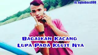 Download lagu Story wa kacang lupa kulit terbaru mp3 Download lagu Story wa kacang lupa kulit terbaru mp3
