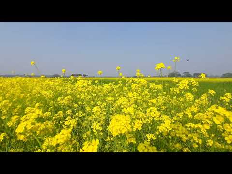 FLYING OVER MEDITERRANEAN 4K UHD - Relaxing Music Along With Beautiful Nature Videos 4K