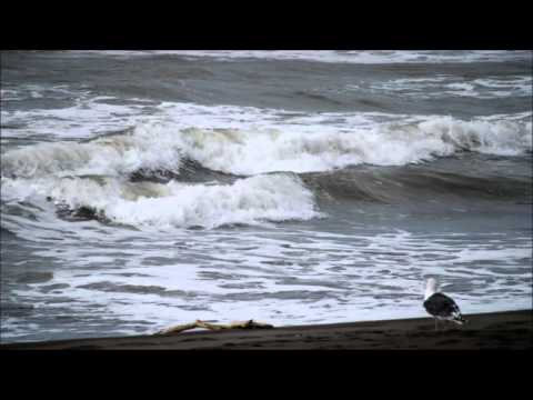 角松敏生　Tsugaru KEIKO