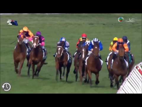 2016考菲爾德短途錦標(G2)