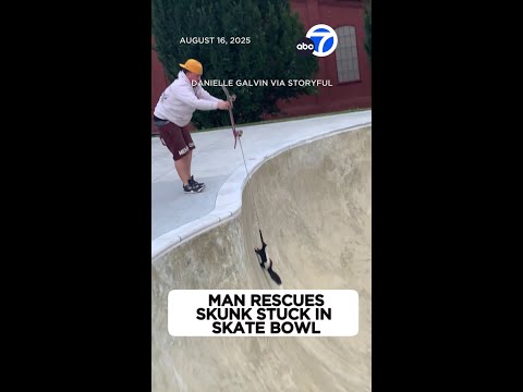 Saving a Skunk with a Skateboard and Dog Leash
