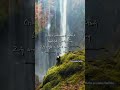 Thanga Thamarai Magale Song Nature WhatsApp Status Full Screen Video Tamil Lyrics Song
