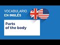 Parts of the body | Vocabulario en inglés