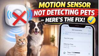 Motion Sensor Not Detecting Pets - Here's the Fix!