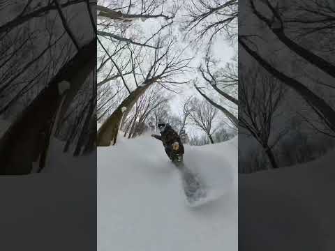 ツリーランコースOpenしました。ふわふわのパウダーのツリーヘラクレスコース！